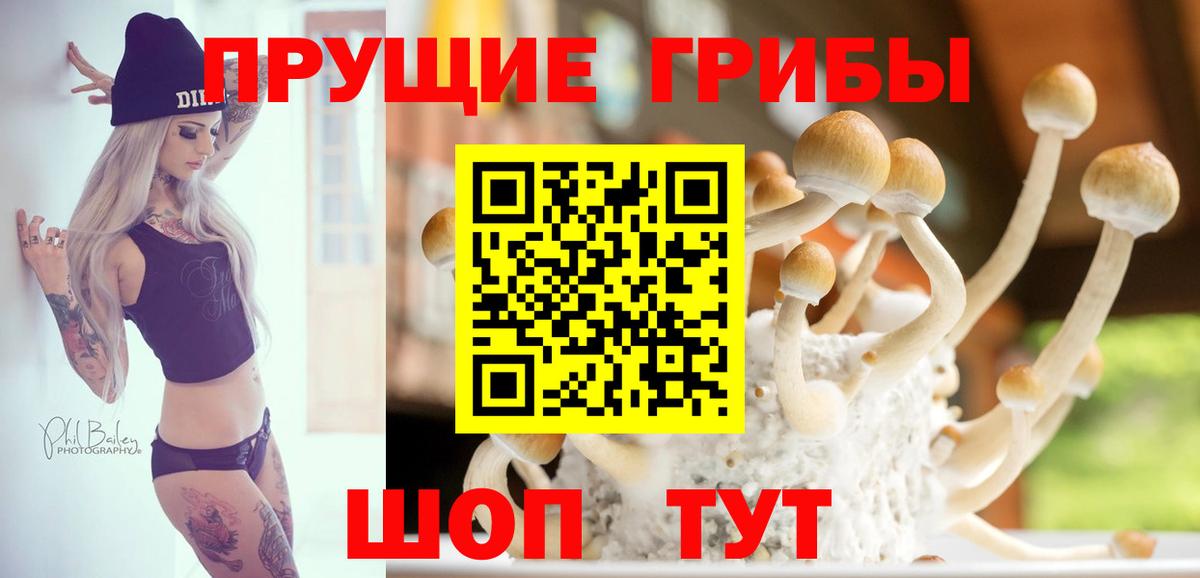 Татарск  Галлюциногенные грибы GOLDEN TEACHER  как найти закладки  Вход с VPN  Псилоцибиновые грибы мицелий 
